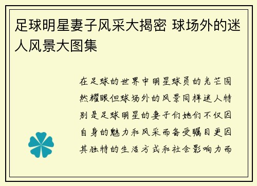 足球明星妻子风采大揭密 球场外的迷人风景大图集