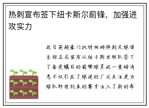 热刺宣布签下纽卡斯尔前锋，加强进攻实力